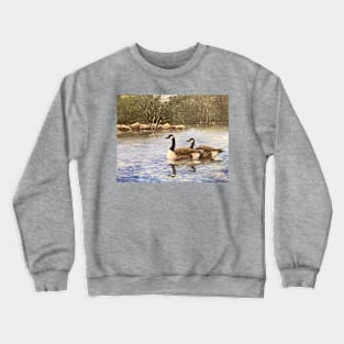 Duck Pond Oil on Canvas Crewneck Sweatshirt